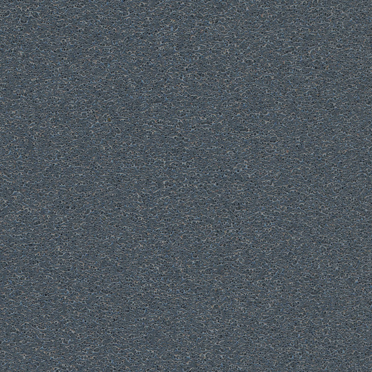 Clear-Coated Quartz 40S