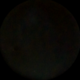 Sikaflex -1A