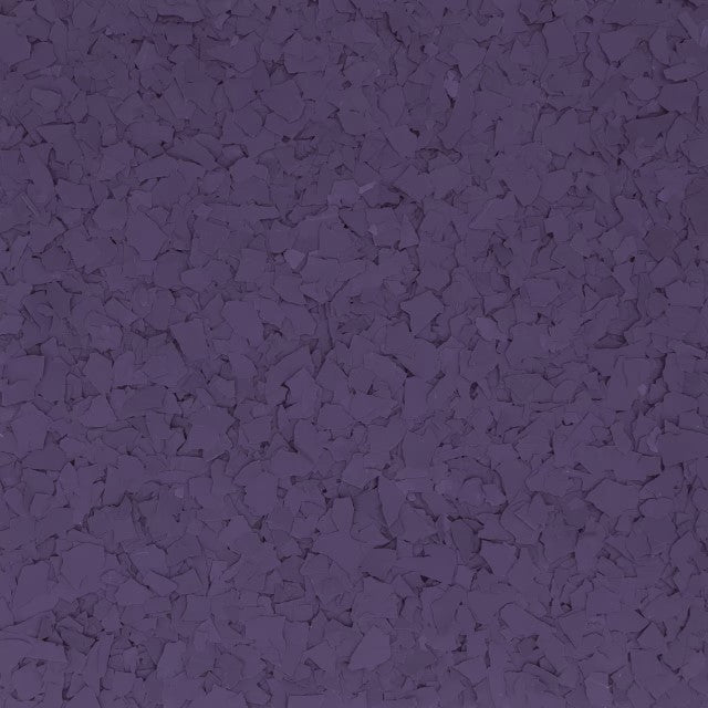 African Violet